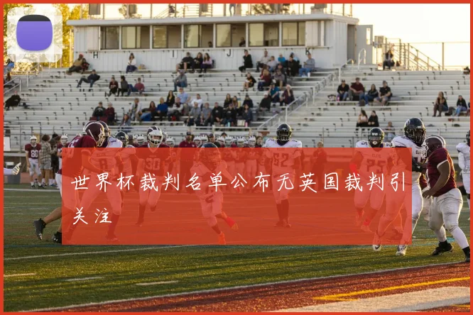 世界杯裁判名单公布无英国裁判引关注