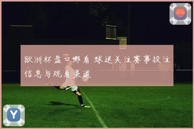 欧洲杯盘口哪看 球迷关注赛事投注信息与观看渠道