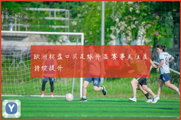 欧洲杯盘口买足球升温 赛事关注度持续提升
