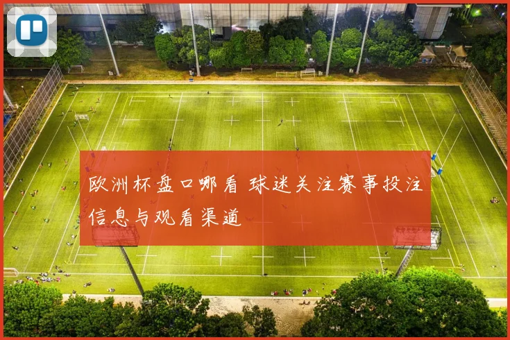 欧洲杯盘口哪看 球迷关注赛事投注信息与观看渠道