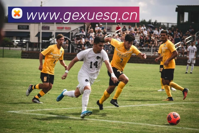 bsport在线登录APP 体育赛事宣传图
